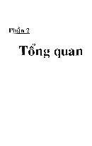 Luận văn Bước đầu chế tạo và thử nghiệm vật liệu sinh học trong điều trị tại chỗ tổn thương bỏng