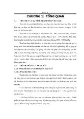 Luận văn Khảo sát khả năng hấp phụ 1-Naphthol của Humin