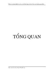 Luận văn Khảo sát thành phần hóa học rễ cây đinh lăng lá tròn polyscias balfouriana ball họ nhân sâm (araliaceae)