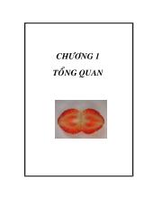 Luận văn Nghiên cứu bảo quản quả dâu tây với màng bán thấm chitosan