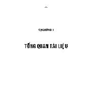 Luận văn Nghiên cứu chế tạo bộ thử nghiệm elisa phát hiện và định lượng hiệu giá kháng thể IgM đặc hiệu với Salmonella typhi trong huyết thanh người để chẩn đo