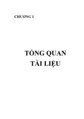 Luận văn Nghiên cứu chế tạo vật liệu nano chitosan làm chất hấp thụ protein ứng dụng trong dẫn truyền thuốc