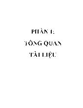 Luận văn Nghiên cứu khả năng phân hủy lignin và cellulose trên mạt dừa của chủng phanerochaete chrysosporium bằng phương pháp sốc nhiệt