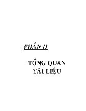 Luận văn Nghiên cứu khả năng sử dụng malt thóc thay thế malt đại mạch trong sản xuất bia