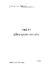 Luận văn Nghiên cứu một số điều kiện tối ưu khi sử dụng enzym và nấm men trong công nghệ sản xuất cồn