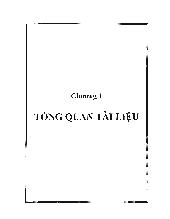 Luận văn Nghiên cứu quá trình anammox từ bùn của hệ thống xử lí nước thải nước tương