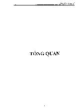 Luận văn Nghiên cứu, Tổng hợp và khảo sát hoạt tính xúc tác khử nox của hệ xúc tác oms-2 và ag-oms-2 trong điều kiện dư oxyen bằng chất khử protein