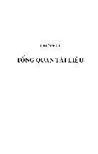 Luận văn Nghiên cứu xử lý toàn bộ phế liệu dứa của nhà máy chế biến đồ hộp bằng công nghệ vi sinh vật