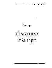 Luận văn Tạo phôi từ vài cơ quan của phalaenopsis Trong nuôi cấy in-Vitro