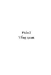 Luận văn Khảo sát tinh dầu một số loài cây giống mentha trồng ở miền nam Việt Nam Họ hoa môi (lamiaceae)