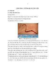 Luận văn Nghiên cứu hệ Protease trùn quế (Perionyx excavatus) trong quá trình tự phân và khả năng ứng dụng