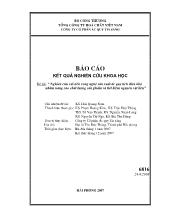 Luận văn Nghiên cứu sản xuất ắc quy tích điện khô nhằm nâng cao chất lượng sản phẩm và tiết kiệm nguyên vật liệu