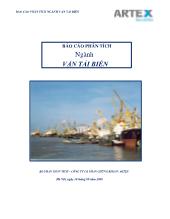 Báo cáo Ngành vận tải biển tại Công ty cổ phần chứng khoán Artex