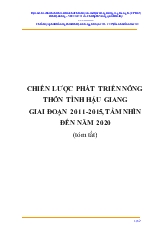 Đề tài Chiến lược phát triển nông thôn tỉnh Hậu Giang giai đoạn 2011-2015, tầm nhìn đến năm 2020 (tóm tắt)