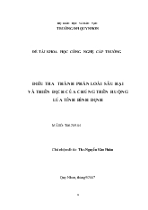 Đề tài Điều tra thành phần loài sâu hại và thiên địch của chúng trên ruộng lúa tỉnh Bình Định