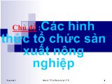 Các hình thức tổ chức sản xuất Nông nghiệp hiện nay và xu hướng sản xuất trong nền kinh tế hiện nay