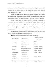 Chọn lọc và nhân sinh khối nấm Trichoderma đối kháng với nấm gây hại cây trồng và các tác nhân khác (phần 2)
