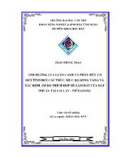 Luận văn Ảnh hưởng của luân canh và phân hữu cơ đến tính bền cấu trúc, mức độ đóng váng và xác định ẩm độ thích hợp để làm đất của đất phù sa tại Cai Lậy - Tiền Giang