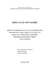 Luận văn Khảo sát ảnh hưởng của chất điều hòa sinh trưởng lên cây dâu tây Fragaria vesca L trồng thủy canh trong nhà kính