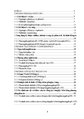 Đề tài Phân tích đa dạng ADN tập đoàn một số giống cây lấy dầu (lạc, vừng) và đánh giá mức độ thay đổi phân tử của các dòng cây mới chọn tạo được