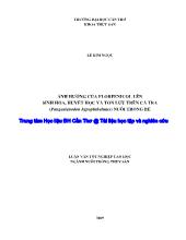 Luận văn Ảnh hưởng của florfenicol lên sinh hóa, huyết học và tồn lưu trên cá tra (Pangasianodon hypophthalmus) nuôi trong bể