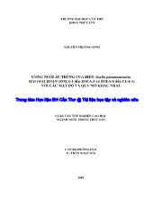 Luận văn Ương nuôi ấu trùng cua biển (Scylla paramamosain) hai giai đoạn (ZOEA-1 đến ZOEA-5 và ZOEA-5 đến CUA-1) với các mật độ và quy mô khác nhau