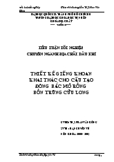 Tiểu luận Thiết kế giếng khoan khai thác cho cấu tạo Đông Bắc mỏ rồng Bồn Trũng - Cửu Long
