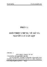 Đồ án Thiết kế máy bào cuốn gỗ hai mặt