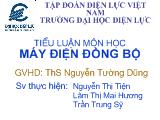 Tiểu luận Môn học máy điện đồng bộ