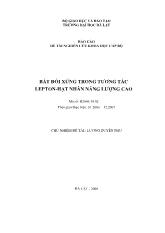 Đồ án Bất đối xứng trong tương tác lepton-Hạt nhân năng lượng cao