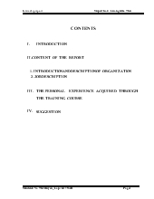 Báo cáo Thực tập bằng Tiếng Anh INTERNSHIP REPORT