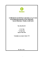 Chính sách khắc phục hậu quả lũ lụt cho hộ nông dân sản xuất quy mô nhỏ tại Hà Tĩnh sau trận lũ kép 2010