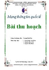 Tiểu luận Mạng thông tin quốc tế