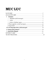 Đề tài Ly hôn có yếu tố nước ngoài (file word)