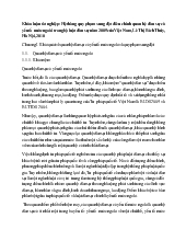 Đề tài Quy phạm pháp luật xung đột điều chỉnh quan hệ dân sự có yếu tố nước ngoài