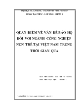 Đề tài Quan điểm về vấn đề bảo hộ đối với ngành công nghiệp non trẻ tại Việt Nam trong thời gian qua
