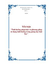 Tiểu luận Tình huống pháp luật và phương pháp sử dụng tình huống trong giảng dạy luật học