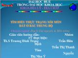 Đề tài Tìm hiểu thực trạng xói mòn đất ở Bắc Trung Bộ
