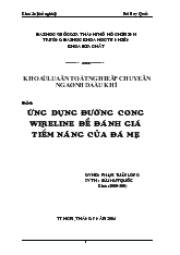 Khóa luận Ứng dụng đường cong Wireline để đánh giá tiềm năng của đá mẹ
