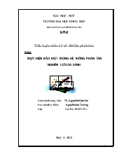 Tiểu luận Thực hiện bảo mật trong hệ thống phân tán nghiên cứu so sánh
