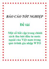 Báo cáo Một số bất cập trong chính sách thu hút đầu tư nước ngoài của Việt Nam trong quá trình gia nhập WTO