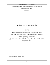Báo cáo Thực tập thực trạng nghề nghiệp của người dân sau khi bàn giao đất cho khu công nghiệp khu dịch vụ du lịch