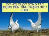 Đề tài Cơ hội cuộc sống tác động đến tình trạng sức khỏe