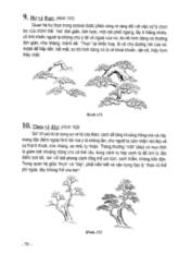 Đề tài Nghệ thuật bon sai cây cảnh phần 2