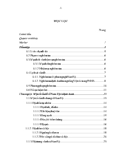 Đề tài Nghiên cứu về phương ngữ Nam Bộ và định danh trong tiếng việt và trong phương ngữ Nam Bộ