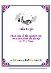 Tiểu luận Nhận thức về nền văn hóa tiên tiến đậm đà bản sắc dân tộc của Việt Nam