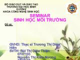Báo cáo Thực trạng môi trường ở Việt Nam và biện pháp khắc phục