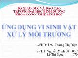 Báo cáo Ứng dụng vi sinh vật trong xử lý môi trường