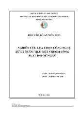 Đề tài Nghiên cứu lựa chọn công nghệ xử lý nước thải dệt nhuộm công suất 1000 m3/Ngày