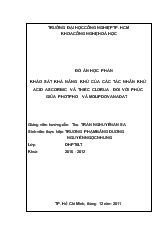 Đồ án Khảo sát khả năng khử của các tác nhân khử acid ascorbic và thiếc clorua đối với phức giữa photpho và molipdovanadat